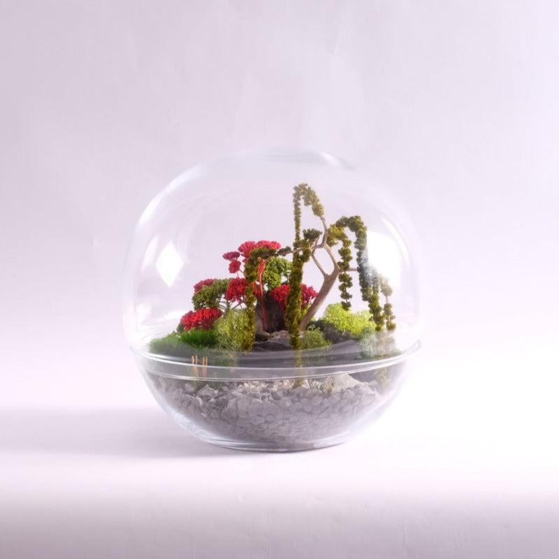 Terrarium stabilisé "Paradise Vision"- Edition limitée - High